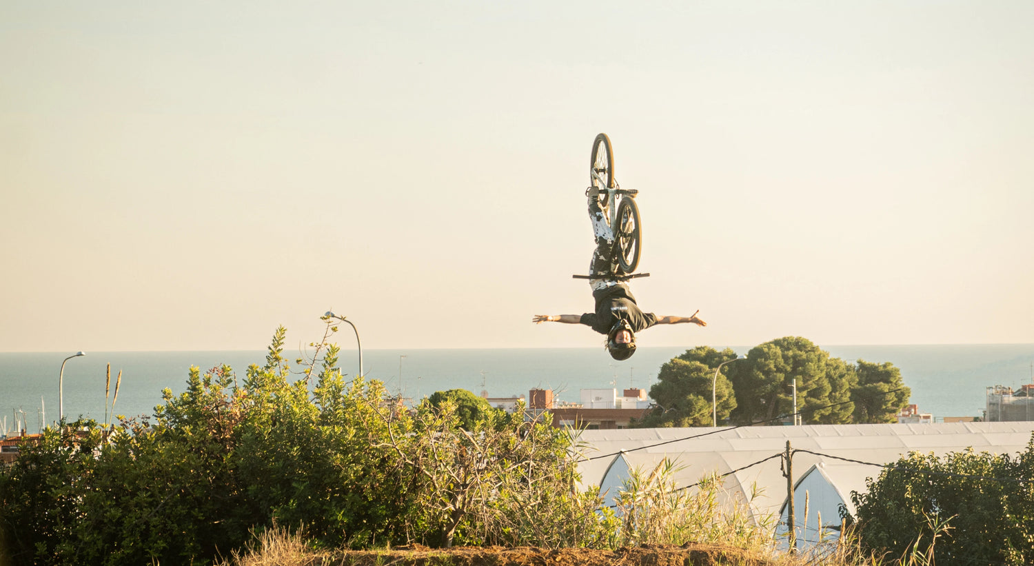Person on a bicycle performing a trick in the air with a scenic background of trees and buildings.