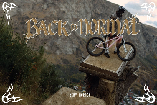 Back to Normal | Remy Morton
