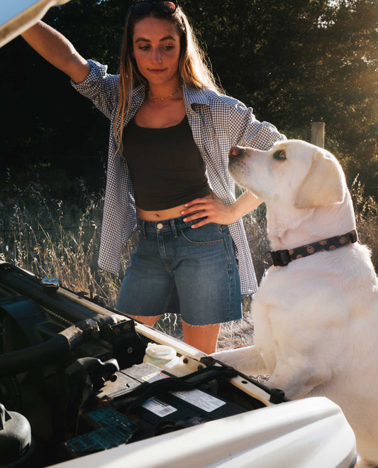 Girl wearing blue denim shorts and black shirt, standing next to dog in front of open hood of a truck.