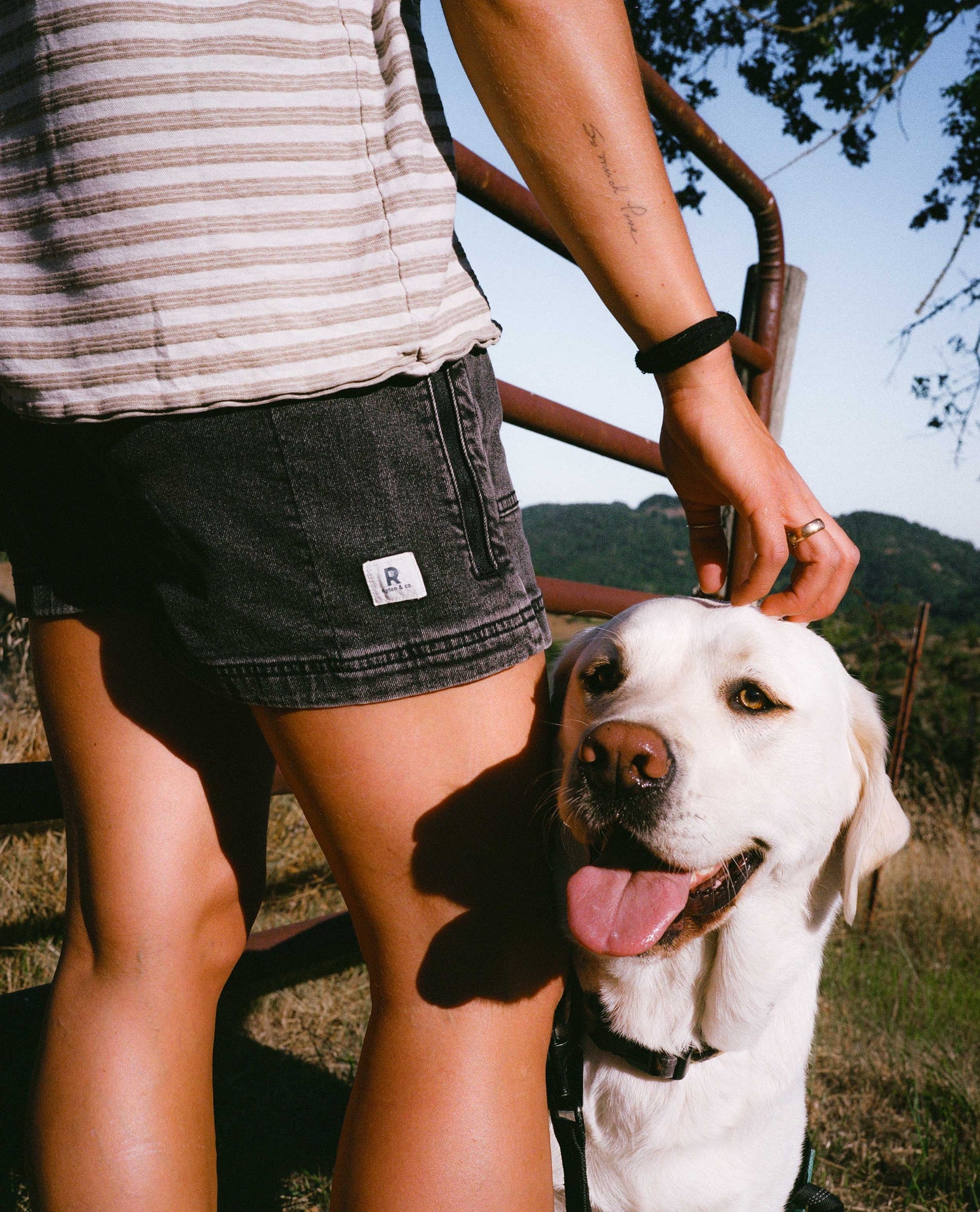 Girl in easy jorts petting a dog